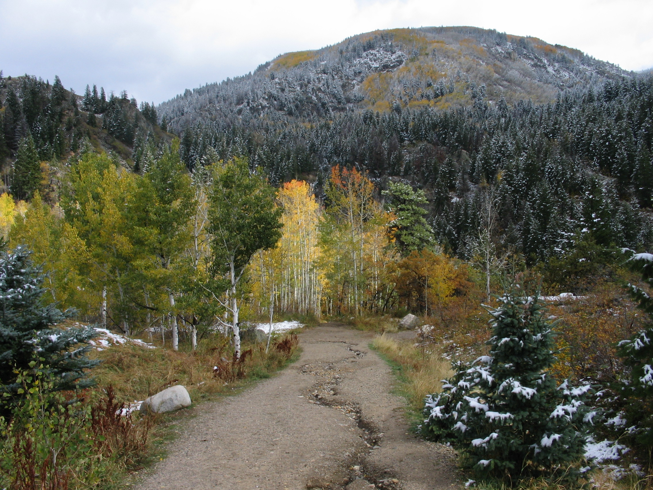 colorado